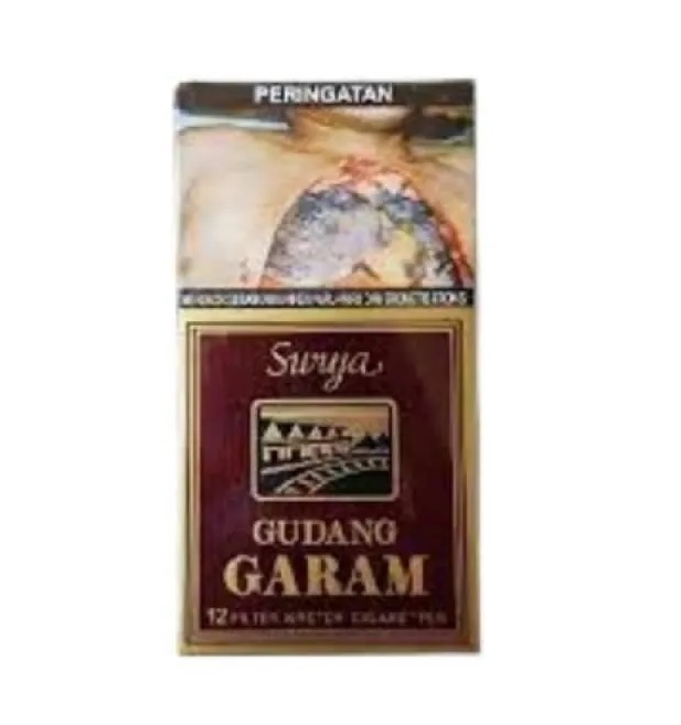 35-gudang-garam-surya_gudang-garam-surya-12-box_full01 (1).jpg